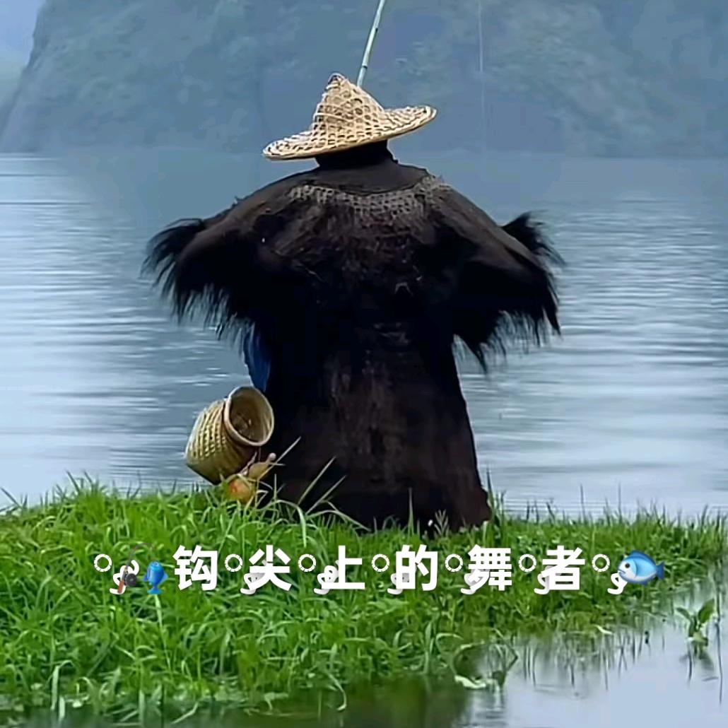 ༘🎣钩༘尖༘上༘的༘舞༘者༘🐟
