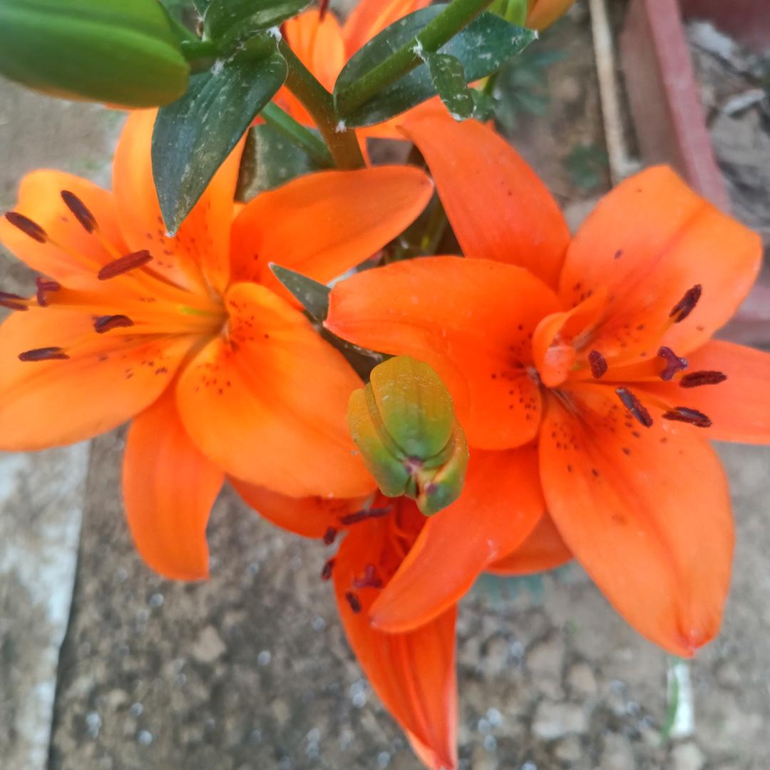 打烊.