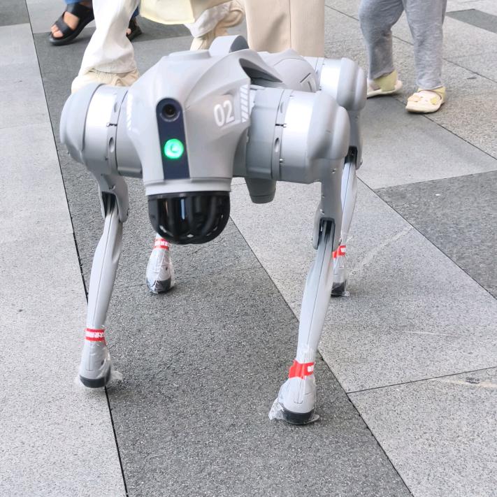 阳光的灿烂。