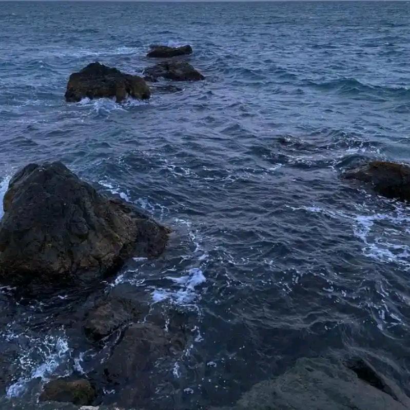 不会运动的阿洁