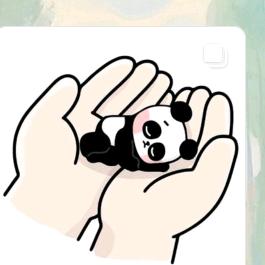 🐕青🐼云👀之🐷君？💘
