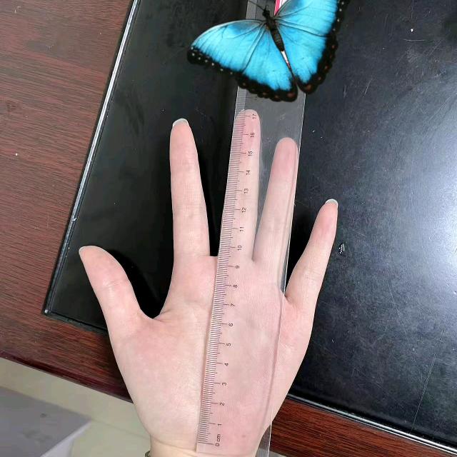 八倍镜看你