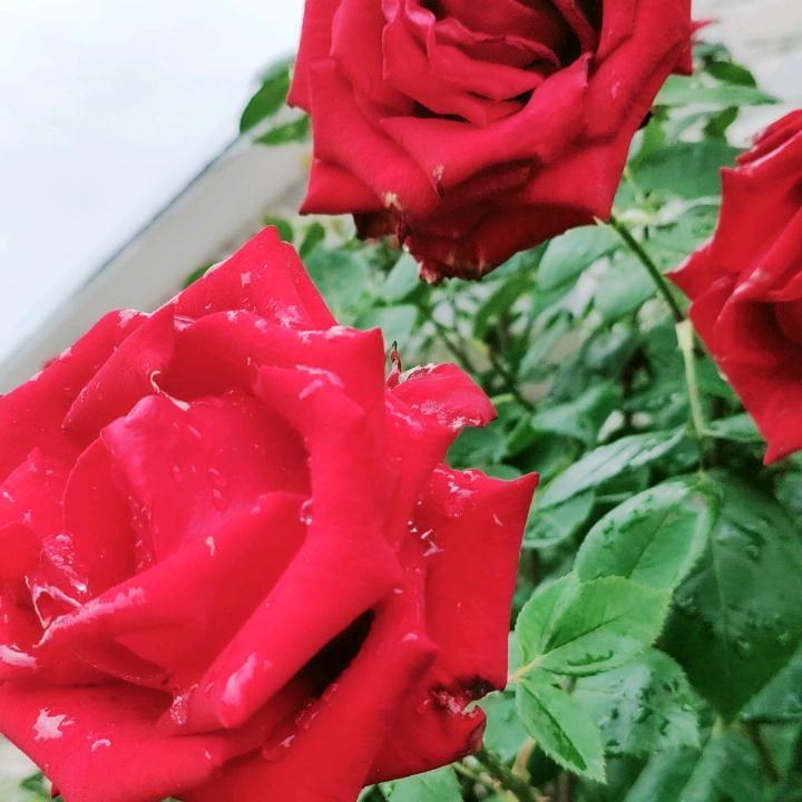 shdhdjdjdbhfjdhdhfjr