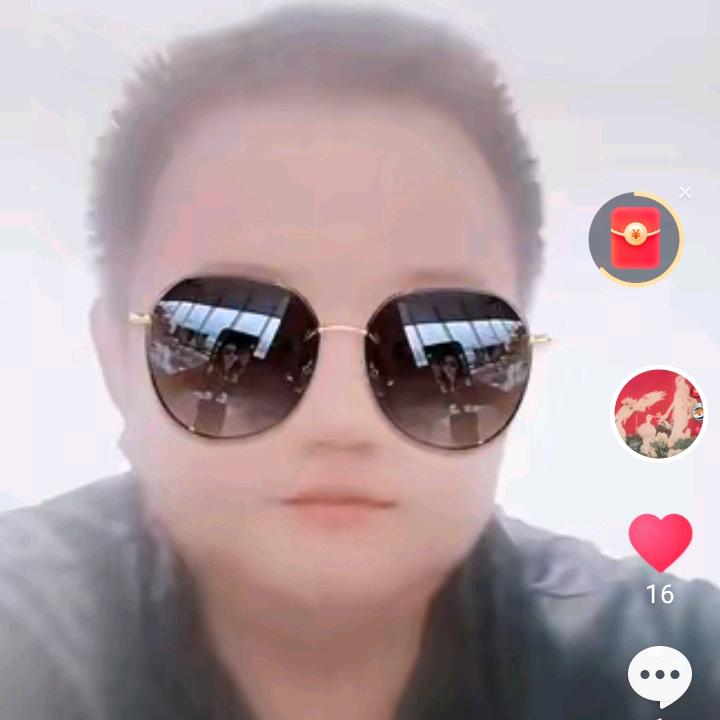 丹顶鹤