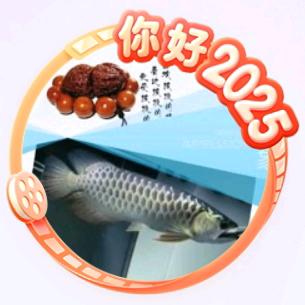奉天🇨🇳二佛爷