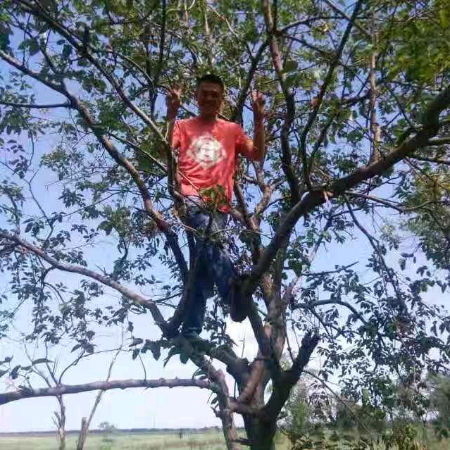 不一样的男人