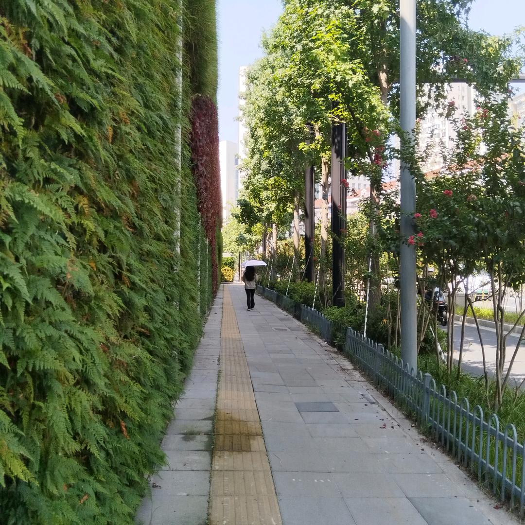 笑熬江湖