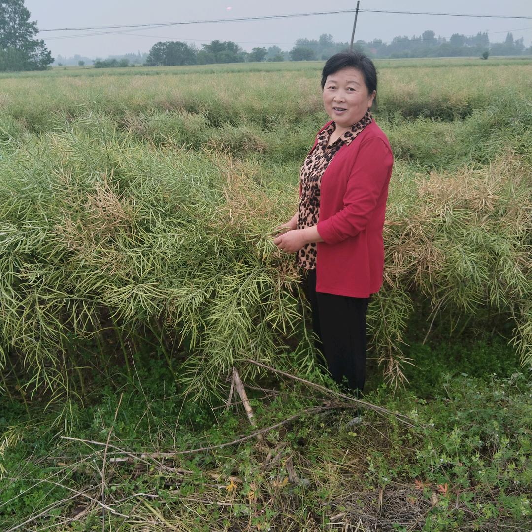 静然