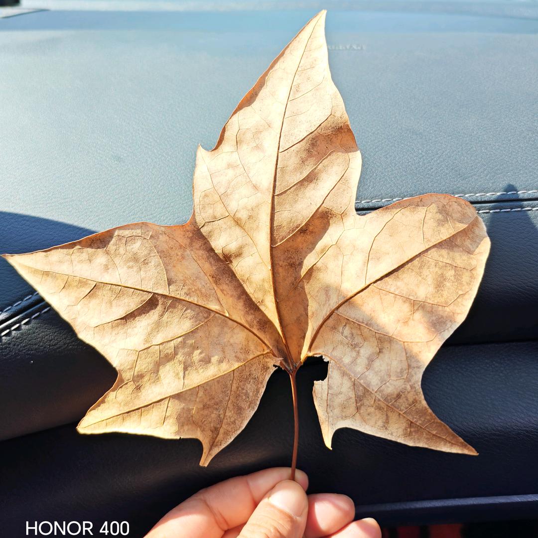 因为一个人    爱上一座城