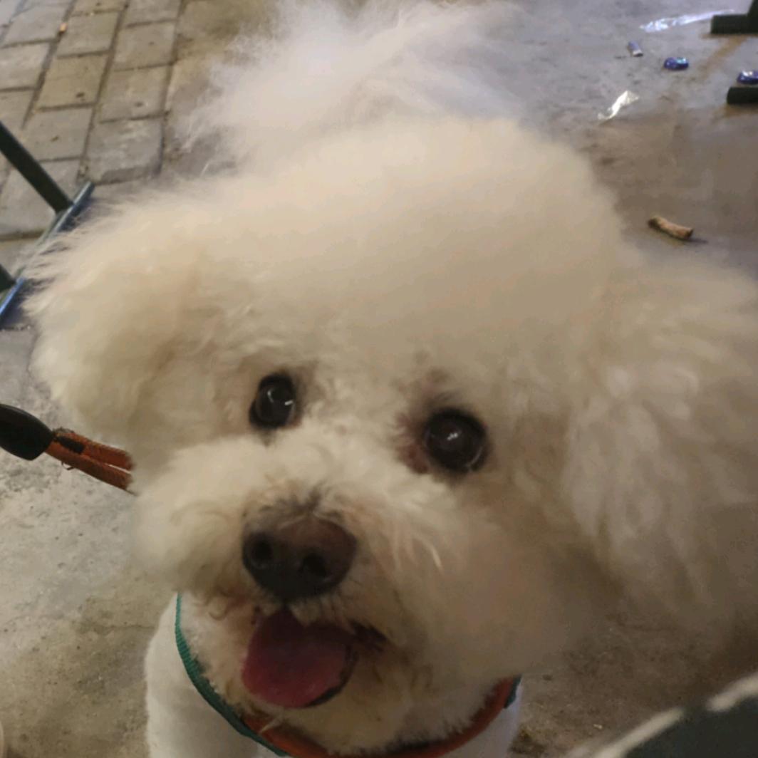 AA土鸡蛋批发张哥