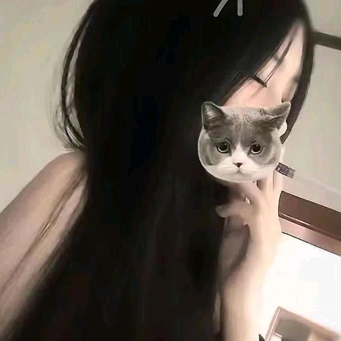 宝宝（歼灭版）