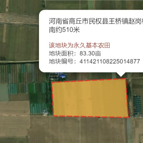 查一查地块