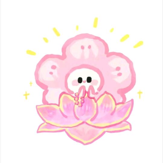 两颗西柚