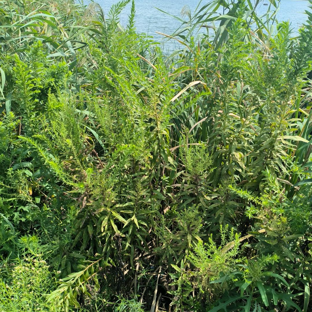 一切靠己
