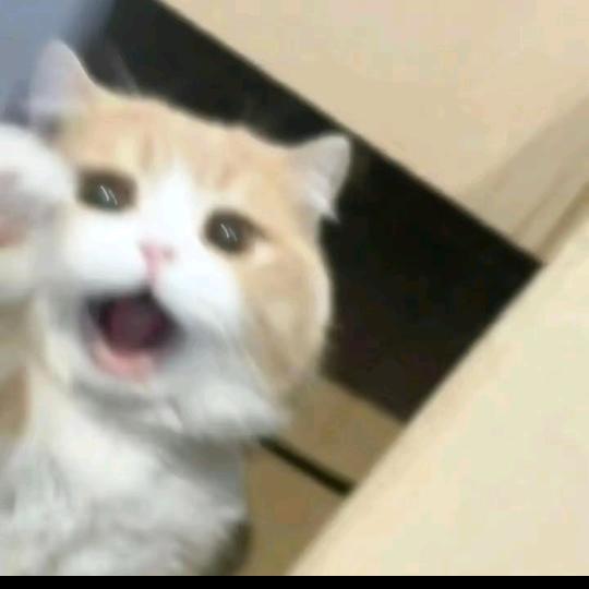 "