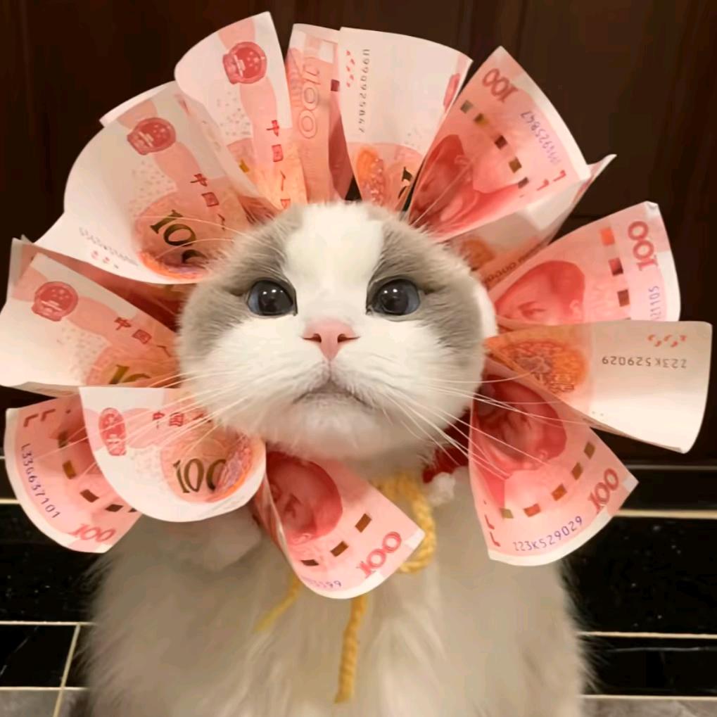 糖周~