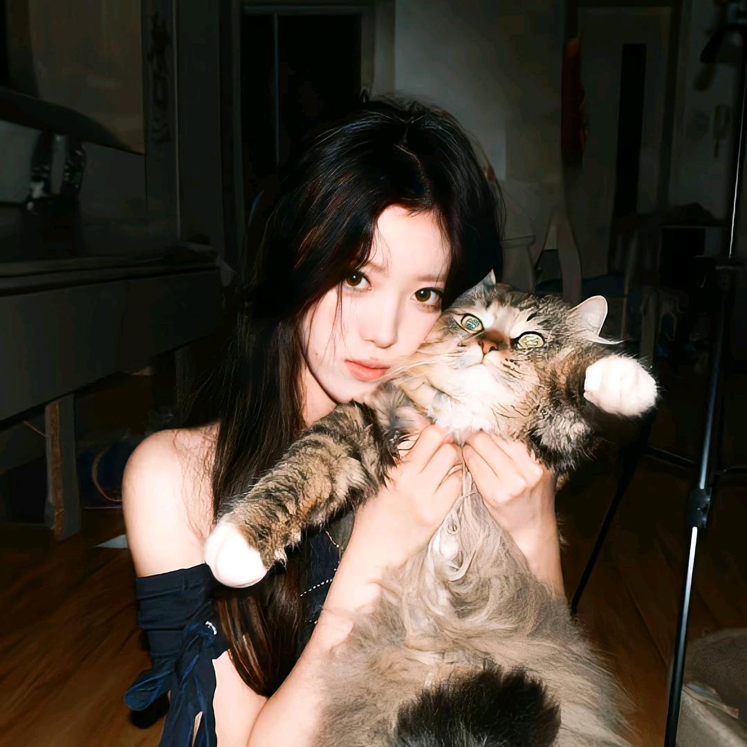 小雨ฅ转勤（见过十勤版）