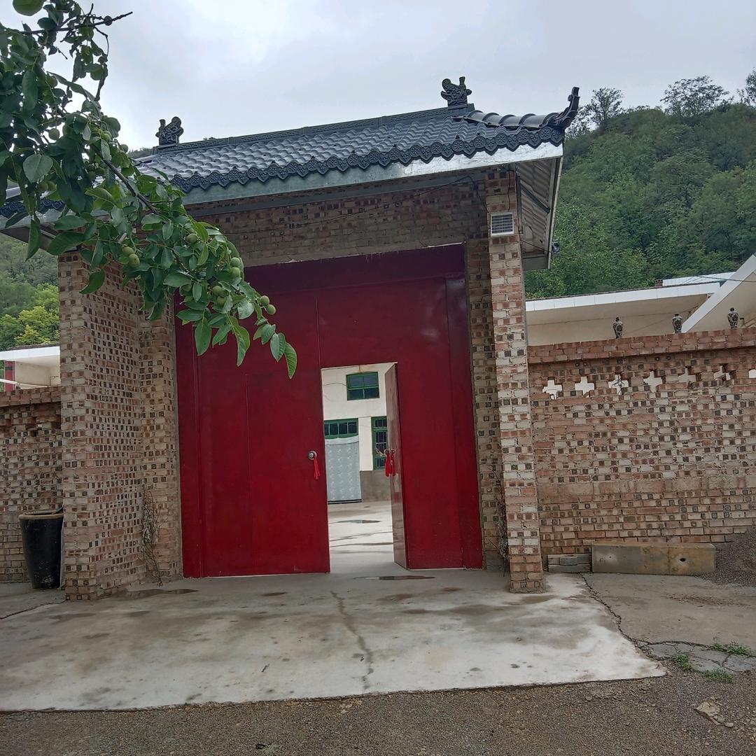 可乐奶奶