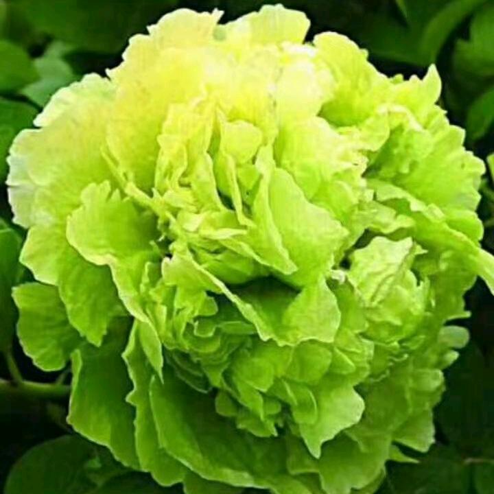 (★^O^)转身(☆陌路(