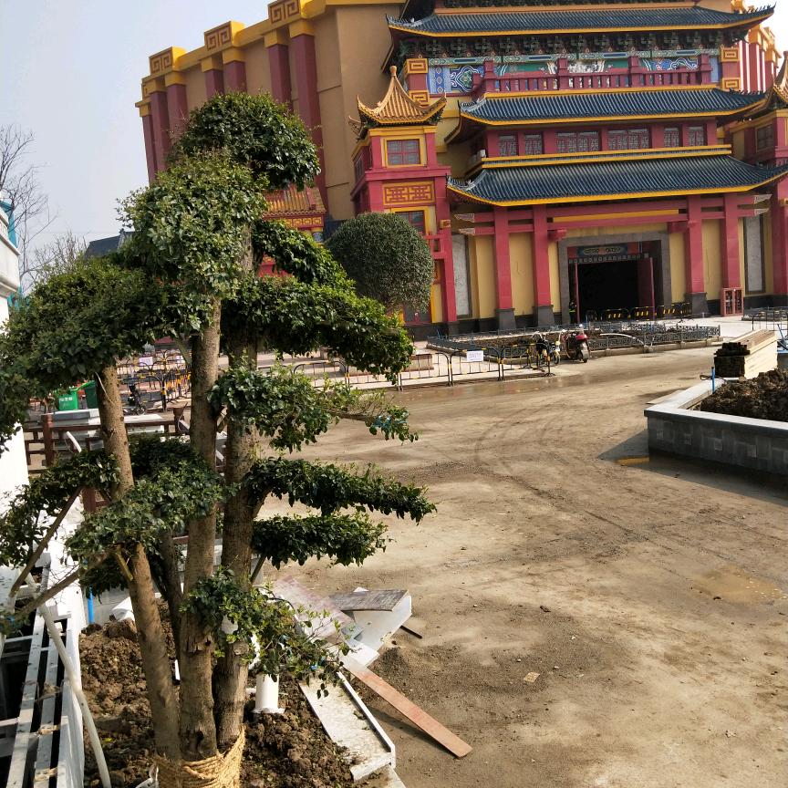余生无语