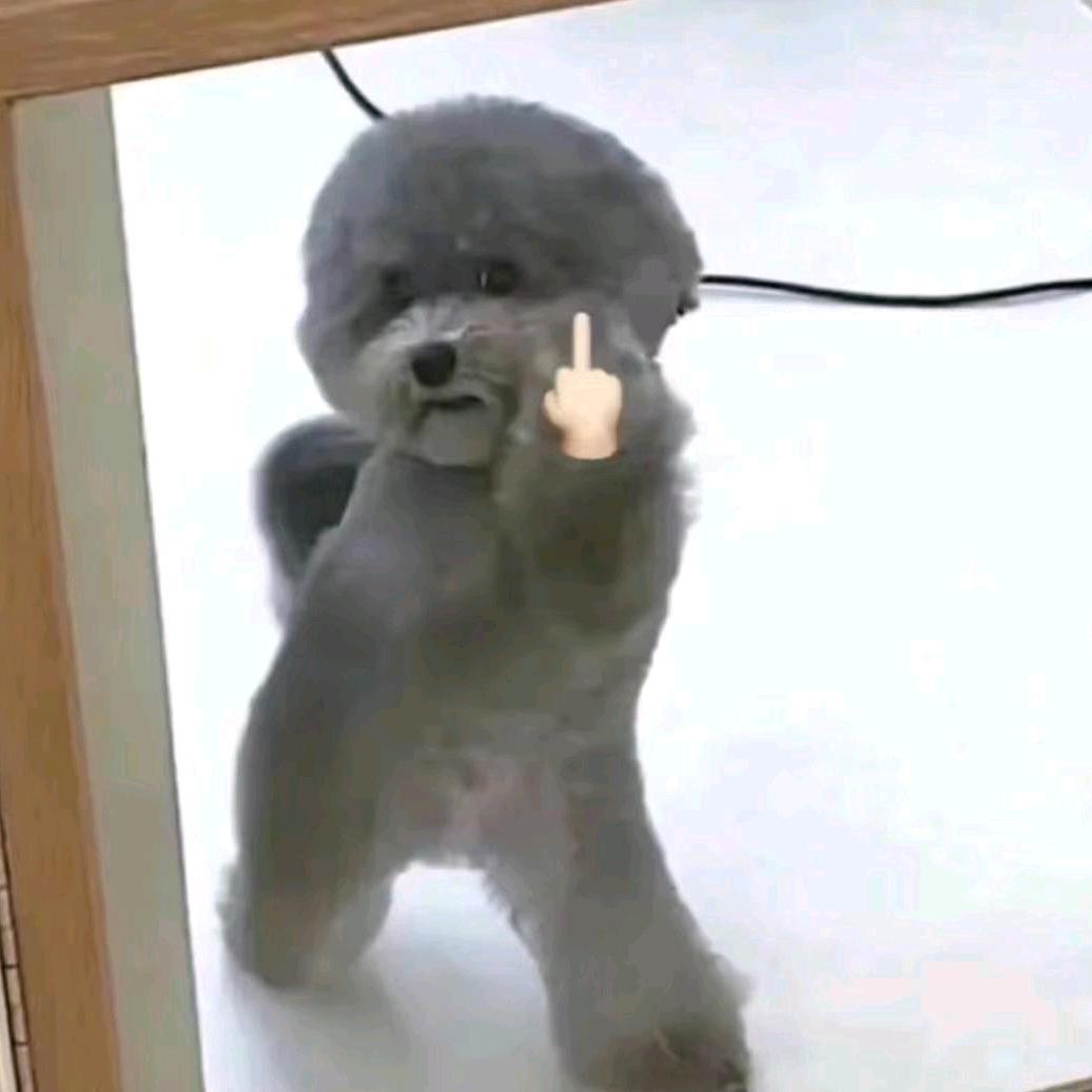 昱昱昱✌︎' ֊'