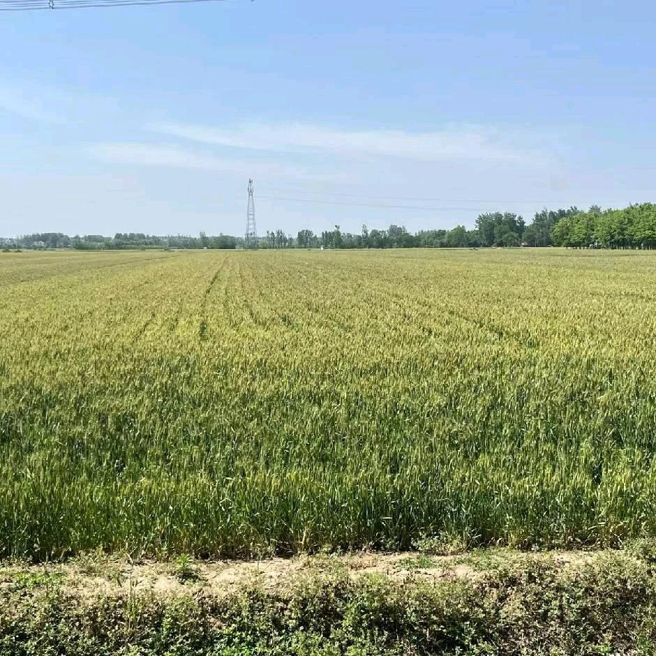 幸福168⊙ω⊙…張小记