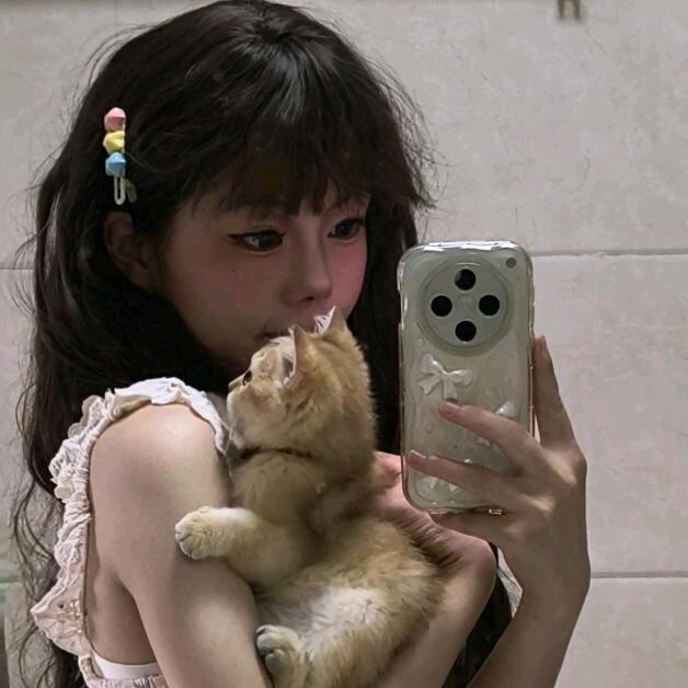 豆豆小宝