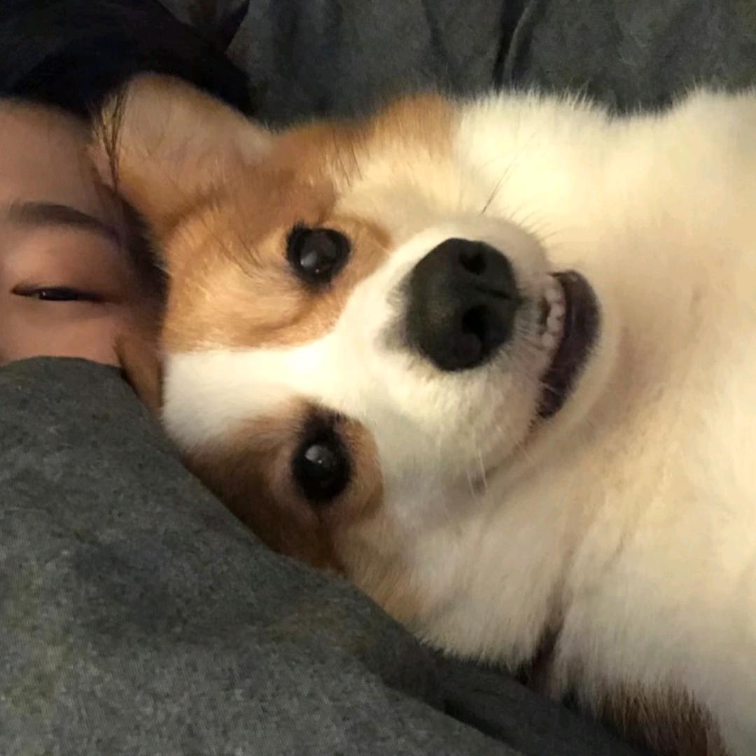 凯瑞