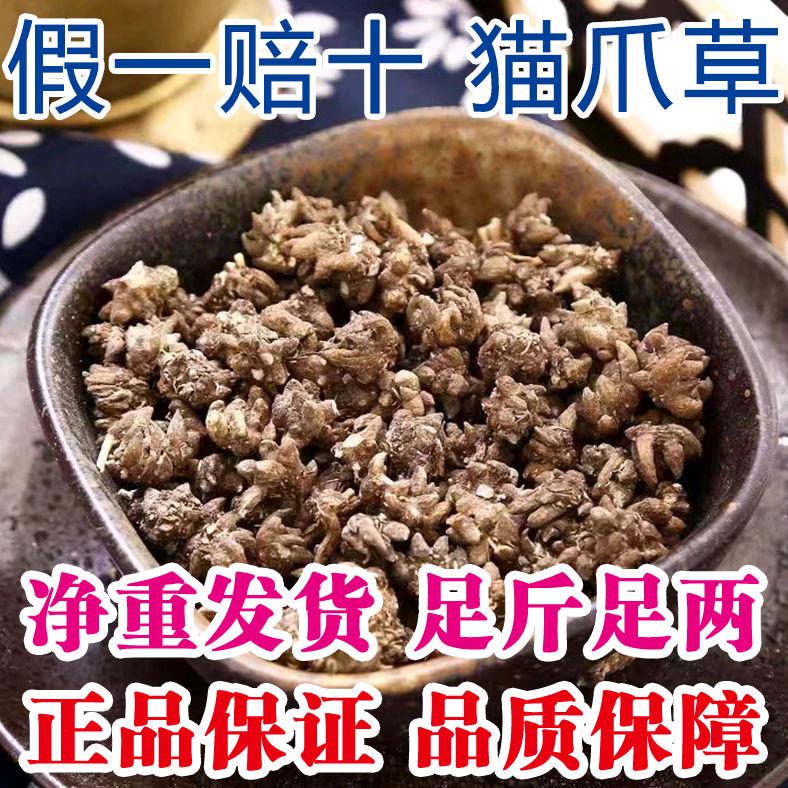 豫南申城猫爪草严选店
