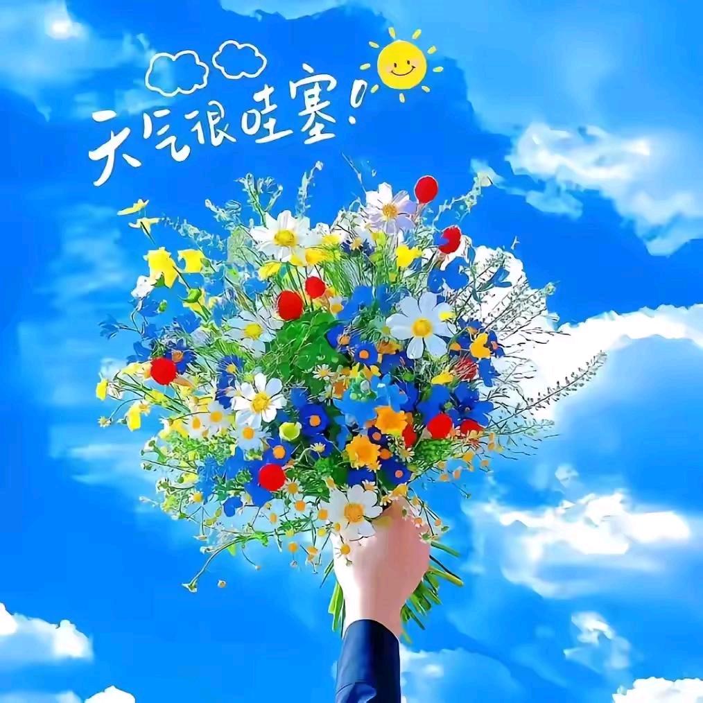 思归