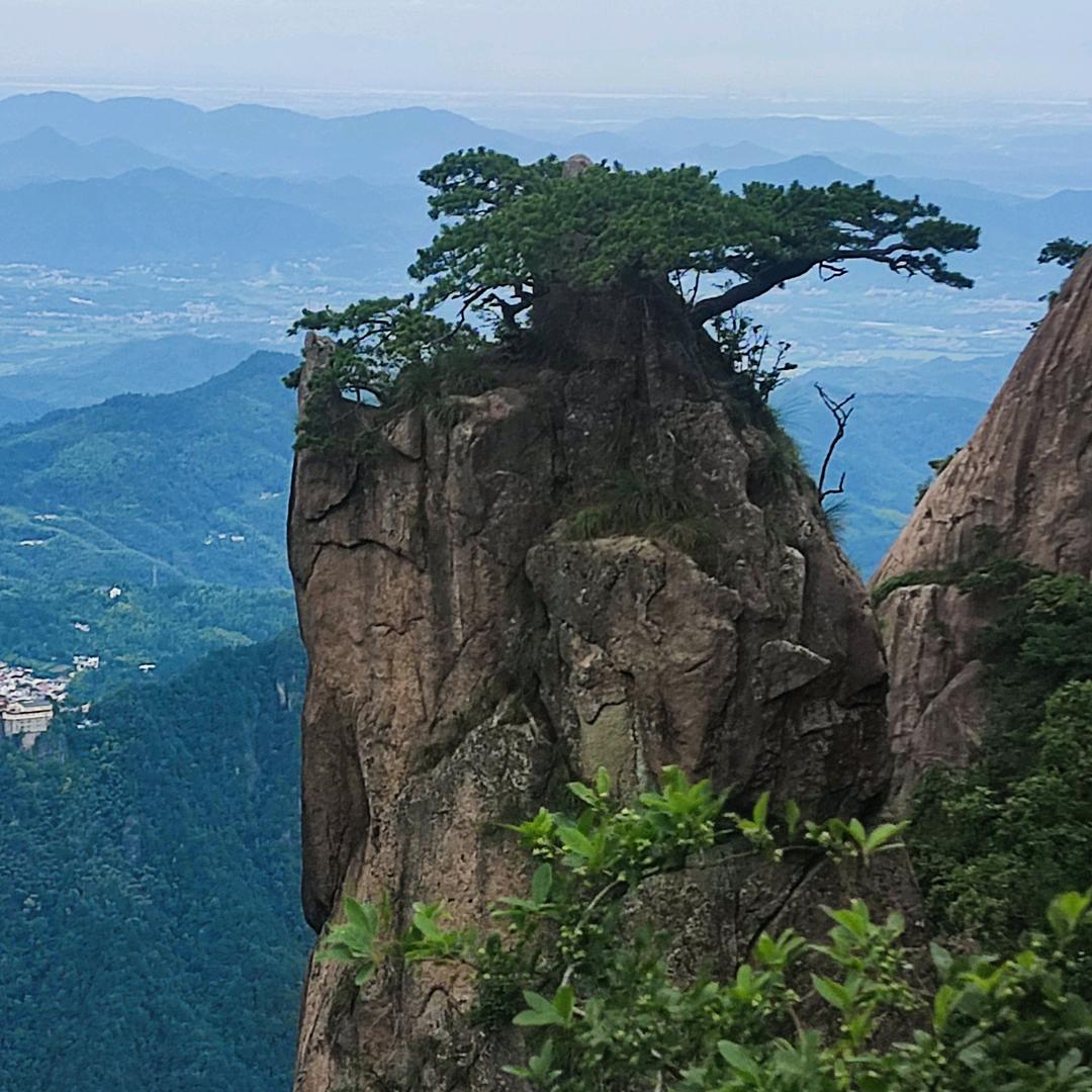 流年忘返