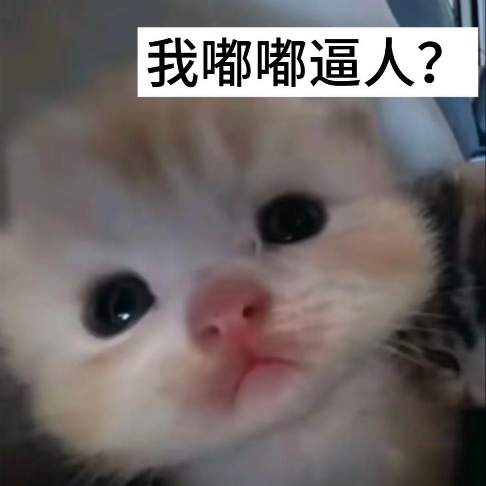 我嘟嘟逼人？