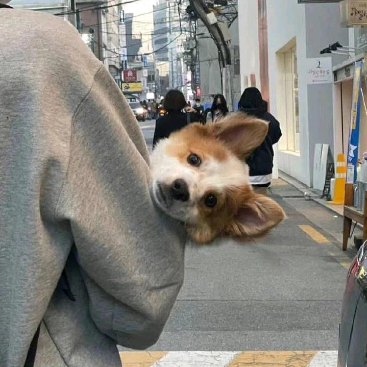 痛快