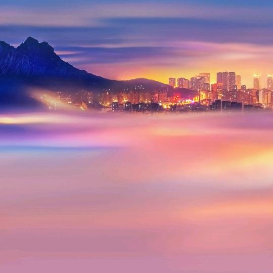 阳关大师