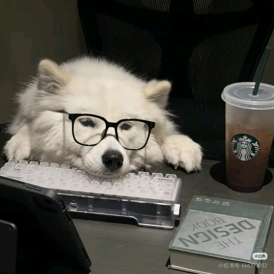 小Chen又困ˡᵃ💤