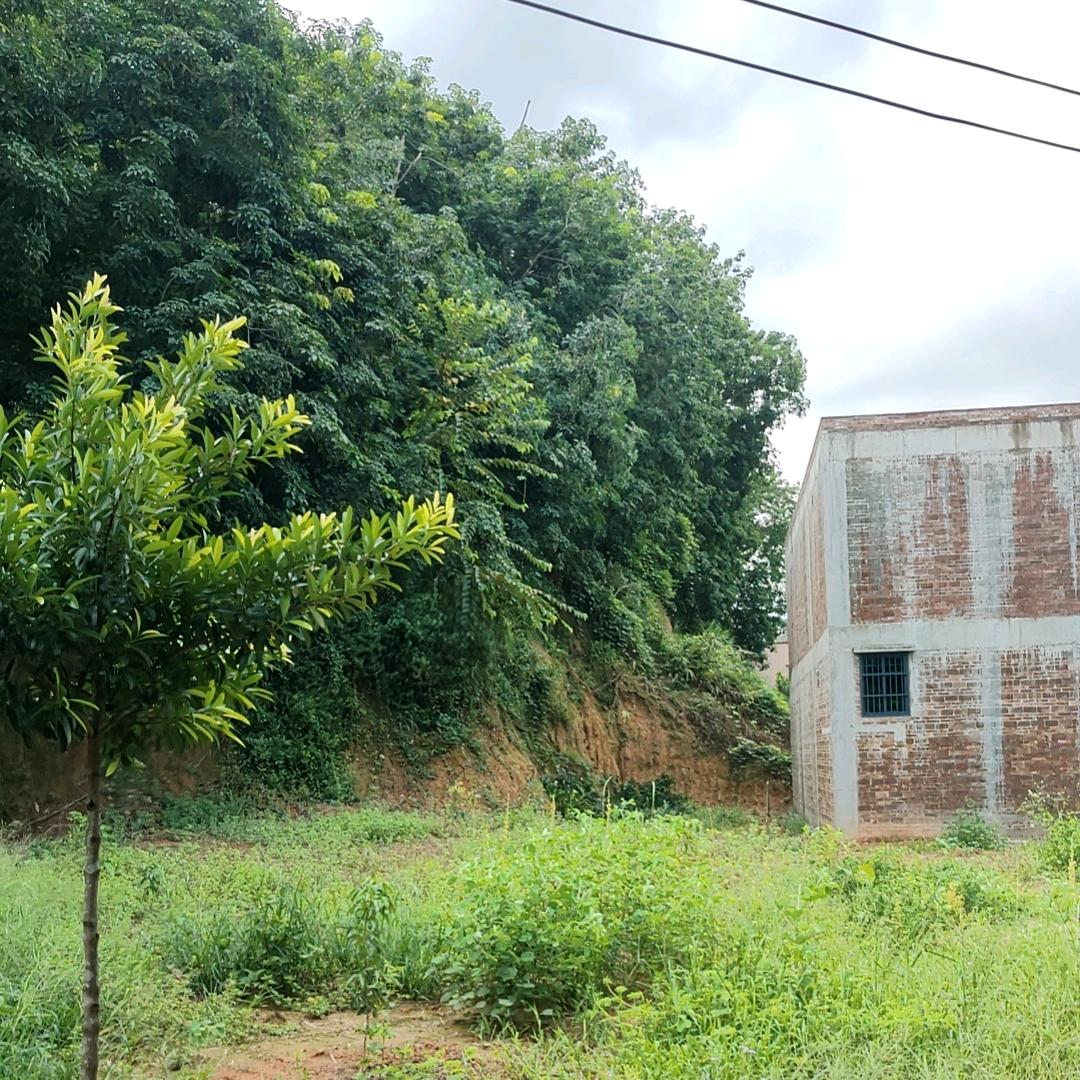 风雨过后是彩虹