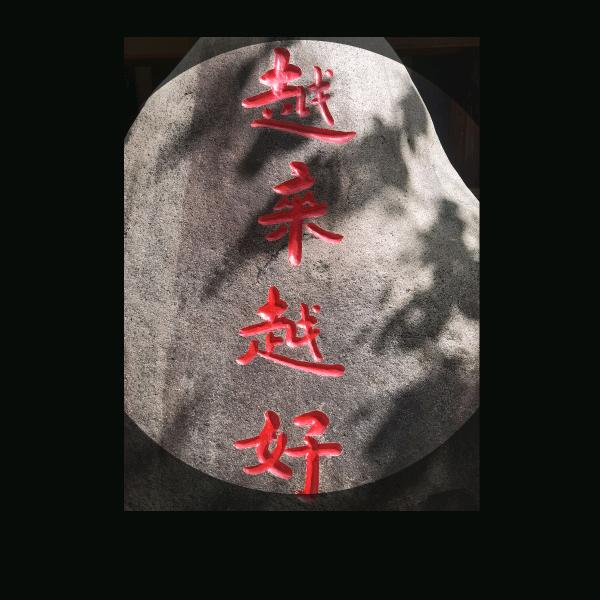 情非得已