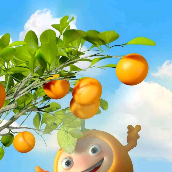 徽笑