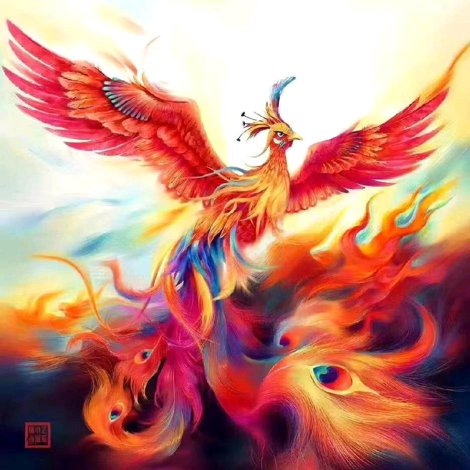 ༻否（pi）极泰来༺