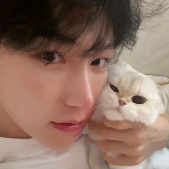 朝朝zhao（tomato生日快乐）