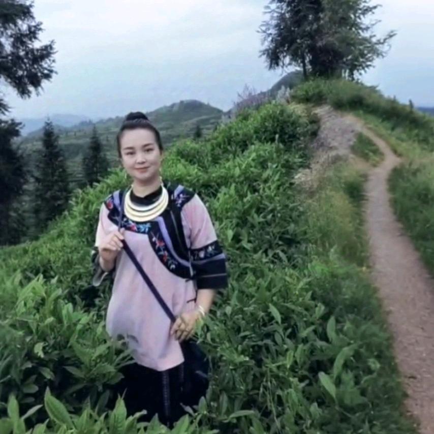 大山里的制茶女