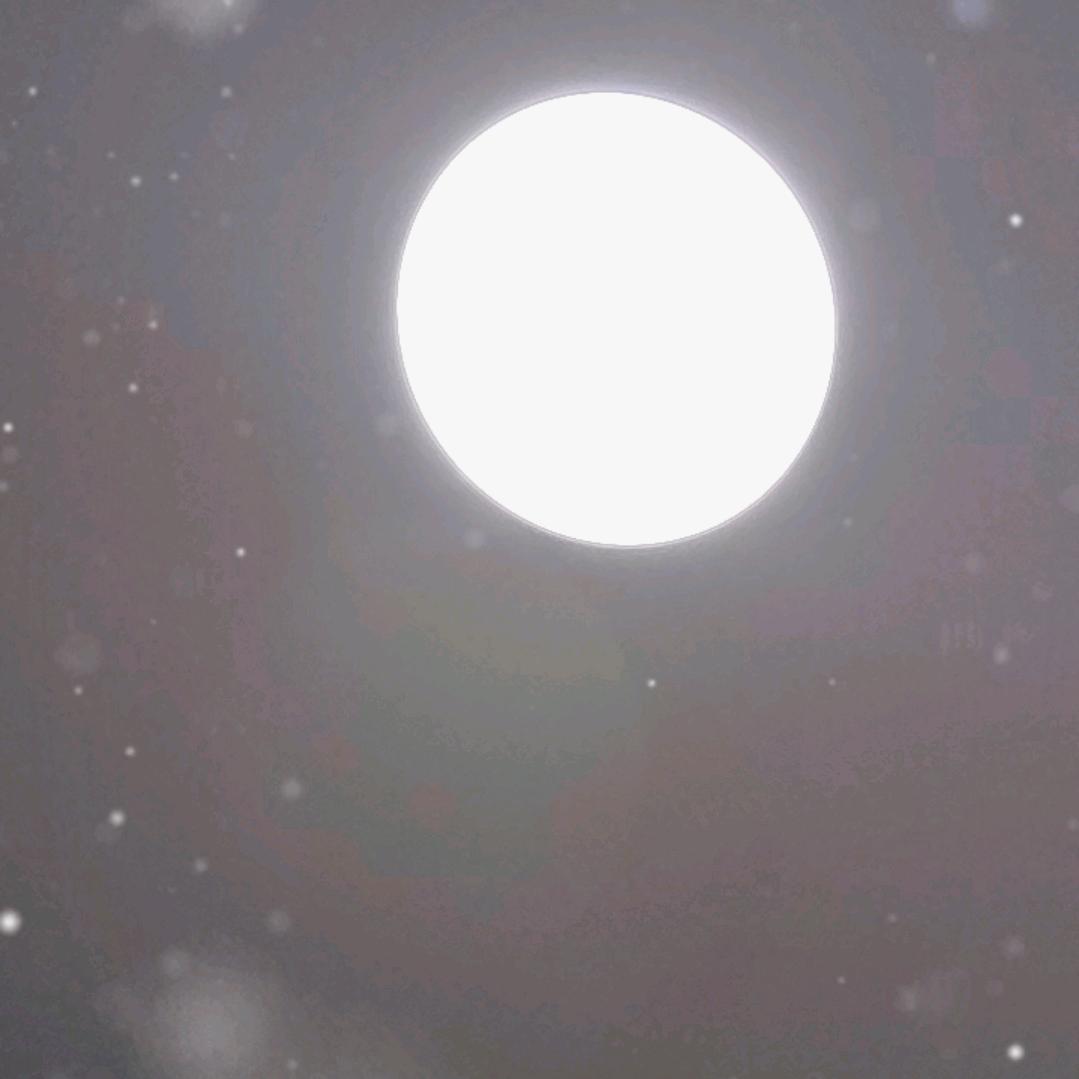 苏沐晴.💦