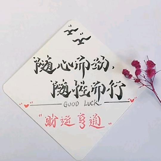 随心而动  随性而行