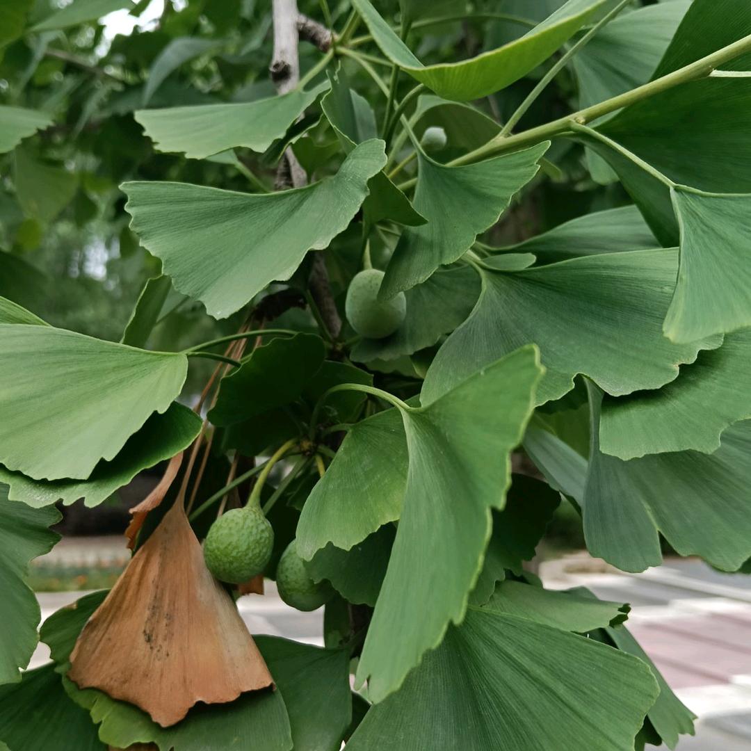 用户25720乐乐2607315