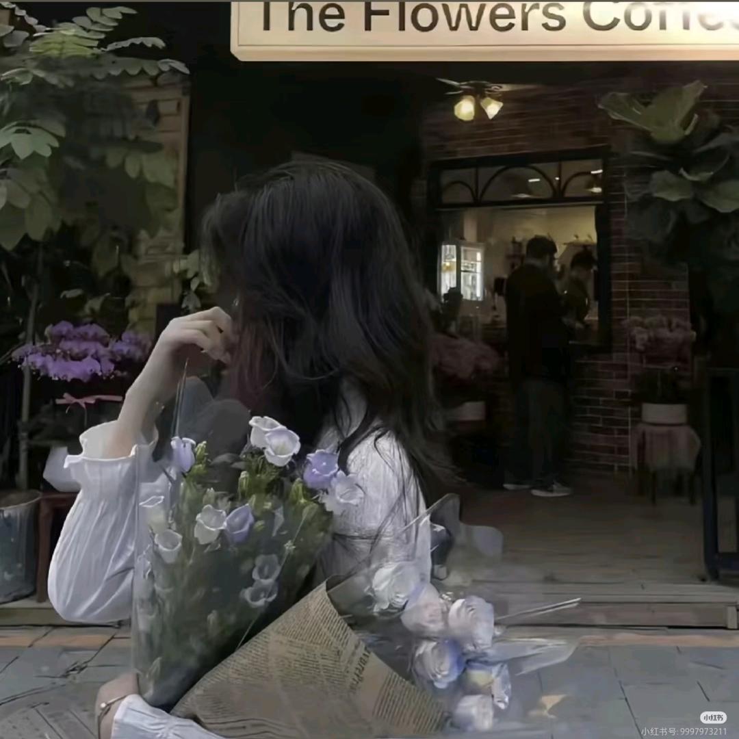 万物收容所