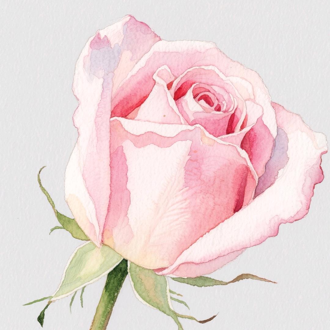 皇博贸易-市场部