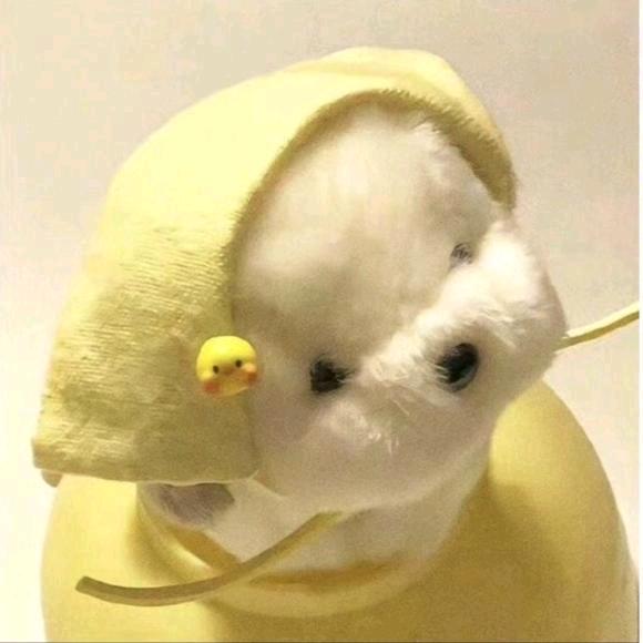 遇见我这么害怕