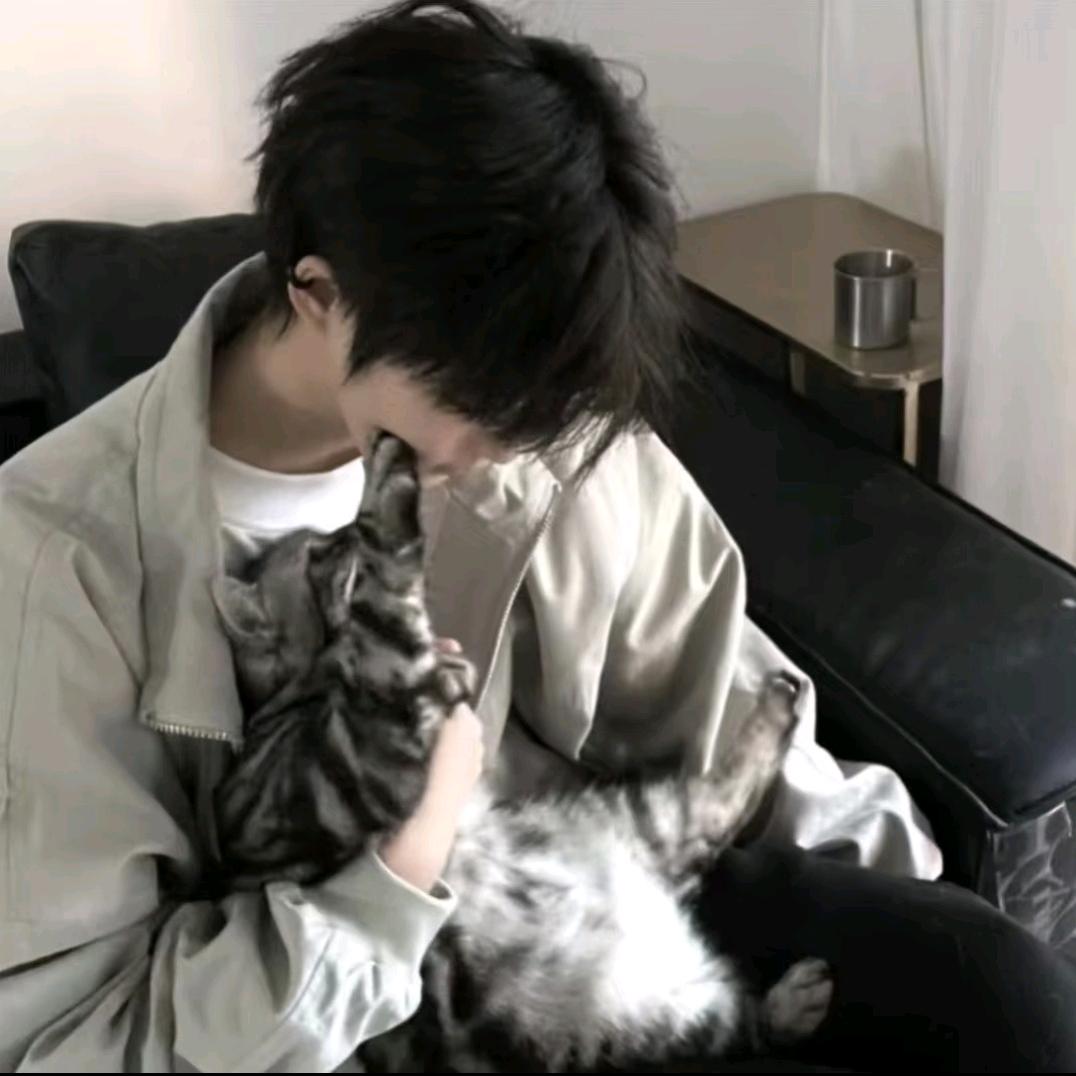 金牌经纪人雾子