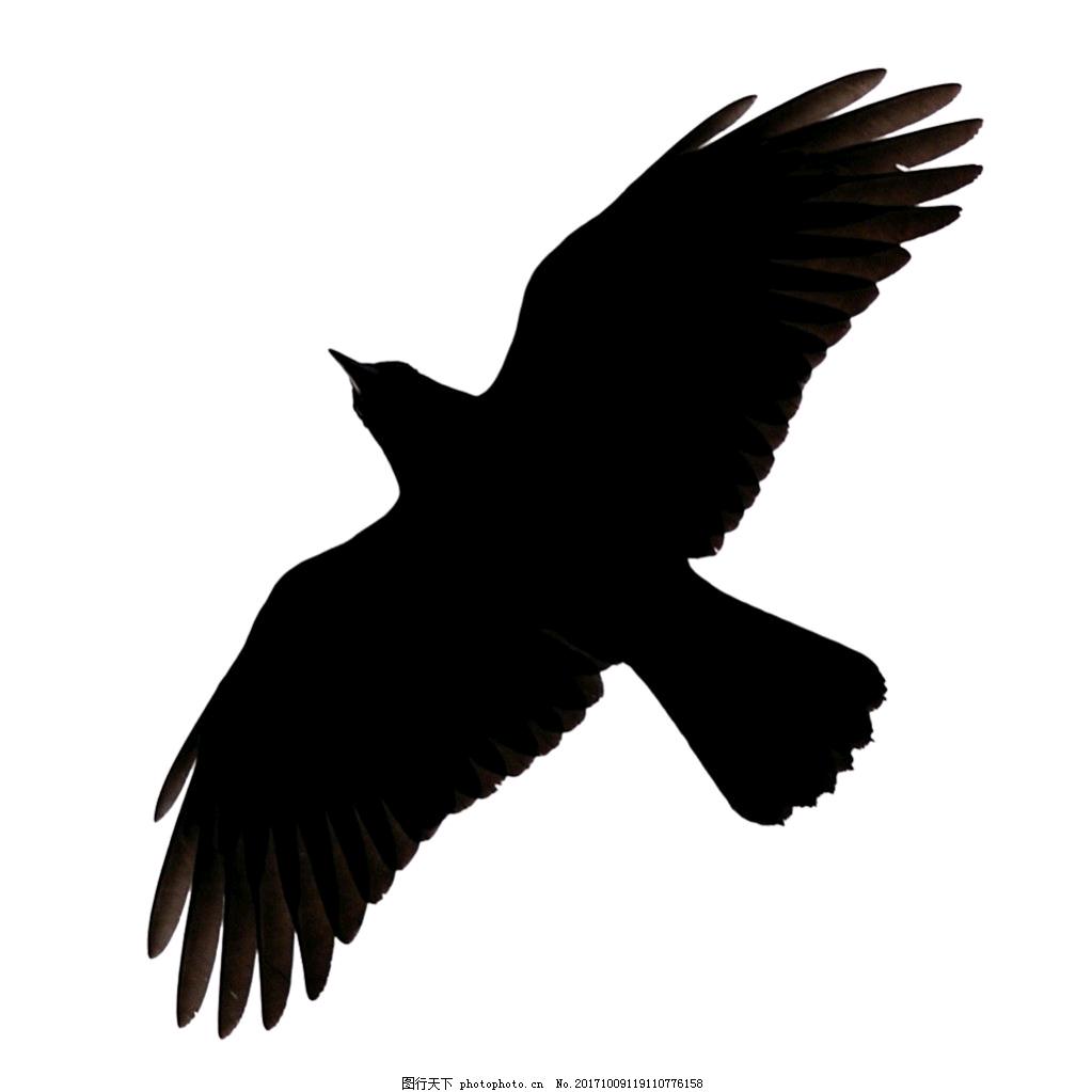 黑乌鸦🐦‍⬛bcc-4