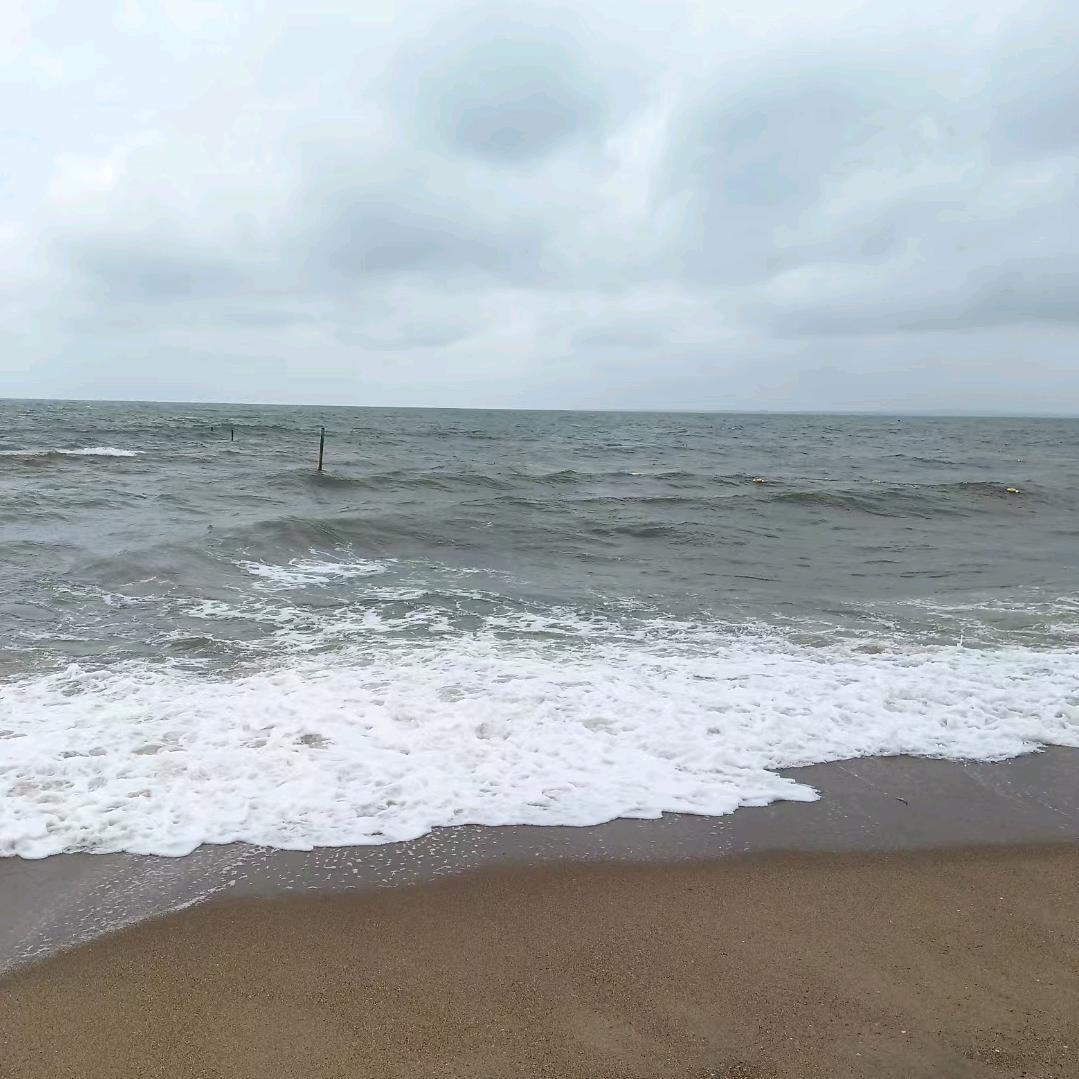 (◍•ᴗ•◍)❤